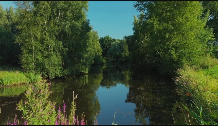 GOLFCLUB HAINMÜHLEN-BREMERHAVEN​